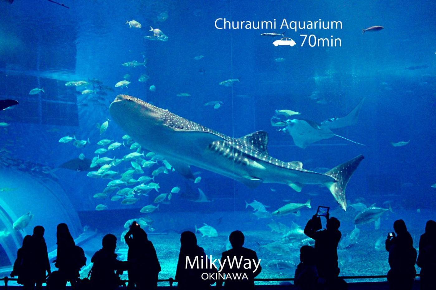 Villa Okinawa Milky Way Yomitan Exterior foto